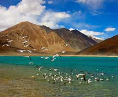 Honeymoon Tour To Leh Ladakh